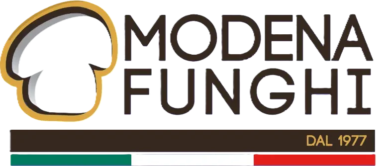 modenafunghisrl.com